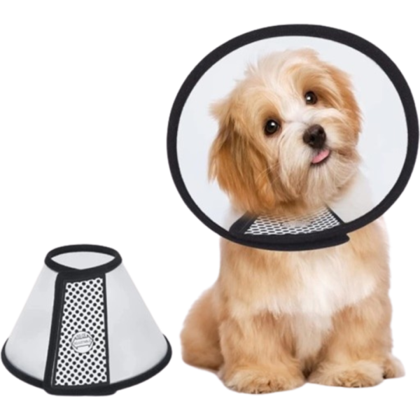 Elizabethan collar (E collar) for cats and dogs