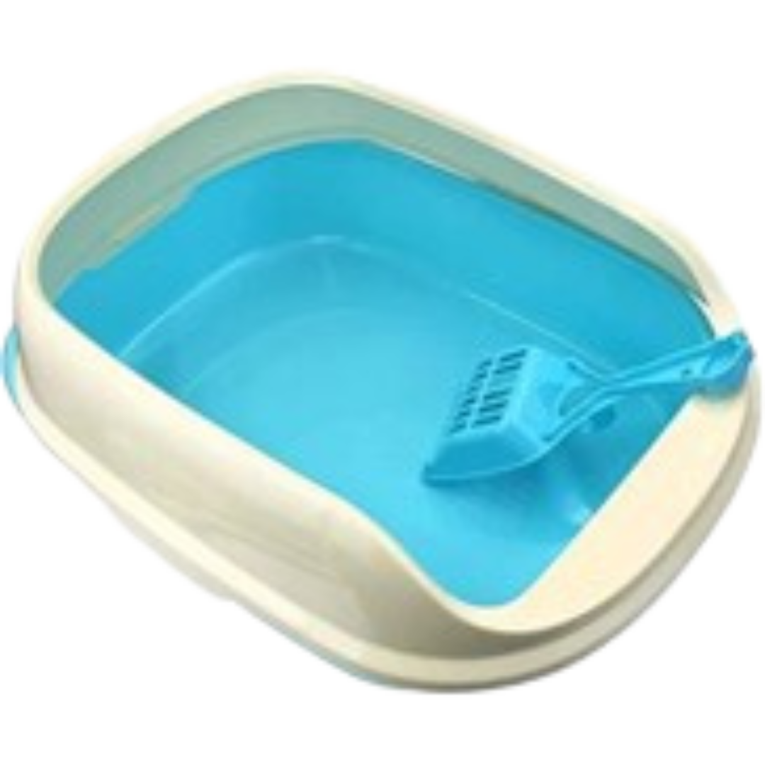 Cat food accessories in Lahore including stainless steel bowls, automatic feeders, pet water dispensers, and food storage containers for healthy cats.