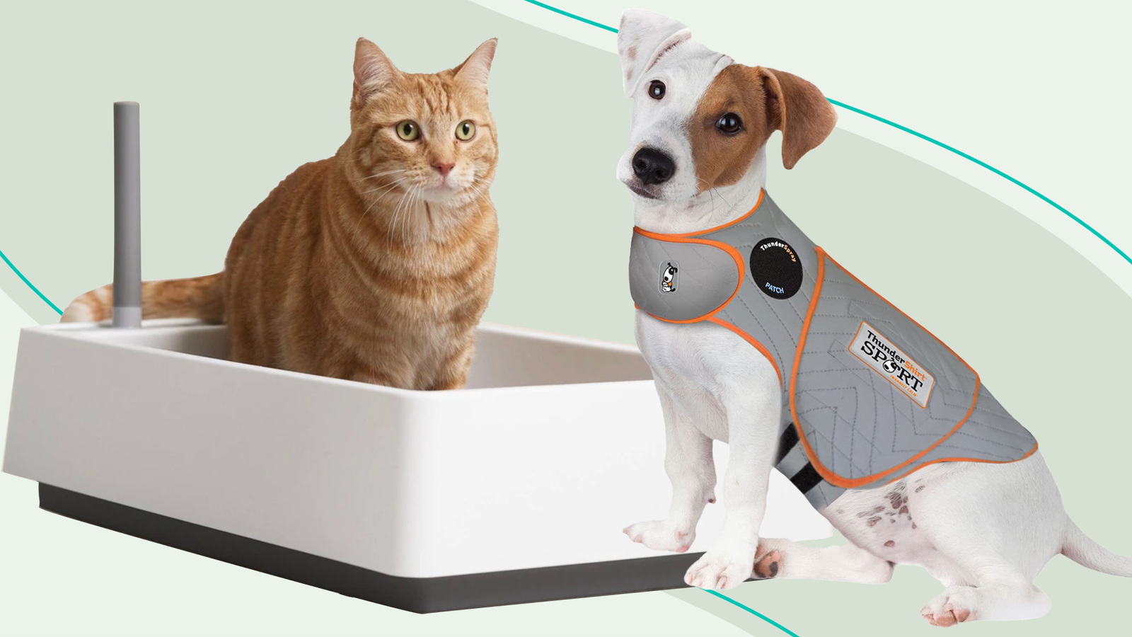 Affordable pet supplies online in Pakistan including food, toys, grooming products, and accessories with nationwide delivery