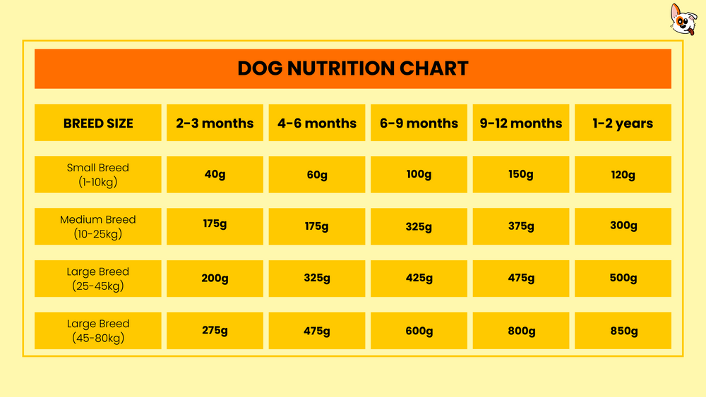 Affordable dog food price in Pakistan – Premium Dog Nutrition by Pawns and Pals | Best pet food shop for healthy kibble, dry and wet dog food, grain-free meals, puppy and adult dog diet