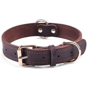 Leather Collar for Dogs