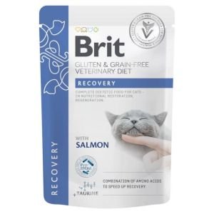 Brit Gluten & Grain-Free Veterinary Diet (Recovery Jelly) With Salmon 85gm