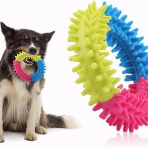 Rubber Ring Chewing Toy/Dog Chew Toy/Teethers for Dogs
