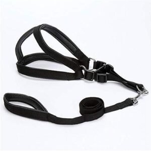 Dog Harness with Leash/Chester