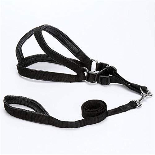 Dog Harness with Leash/Chester